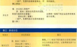 公司分立会计处理方法？项目公司分立