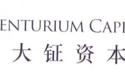 大钲资本是国企吗？2017 资本项目