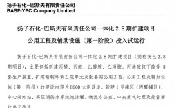 我国生产丙酸的主要企业？重庆巴斯夫项目