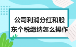 公司注销分红如何操作？项目分红 退出