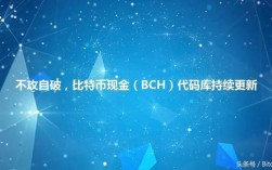 什么是BCH比特币现金？(bcc币教程)