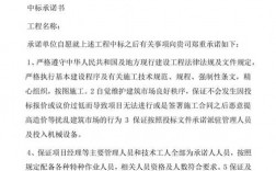 别人工程中标后卖给我，这样在法律上会受到什么处罚？项目转让的实质