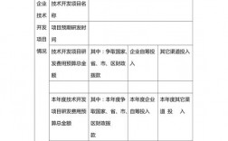 新产品发生的研发费需要提交的资料是什么？研发项目预算决议