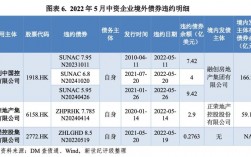 国投集团是个什么性质的单位？发改委项目收益债券