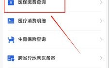 中医院缴费记录怎么查？中医医保项目查询