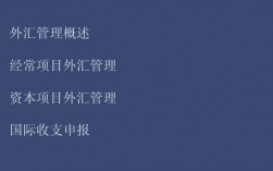 资本项下和经常项下的基本概念？资本项目项下