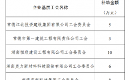 工会专项资金有哪些？专项项目补贴资金