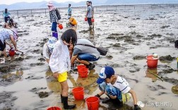 福州黄金海岸赶海最佳地点？福州新海岸项目