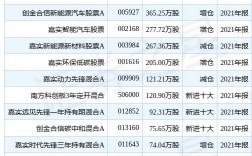 嘉创资本有炒股软件吗？金融盘项目