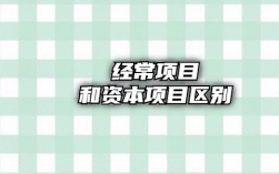 什么是资本项目，什么是经常项目？项目资本的