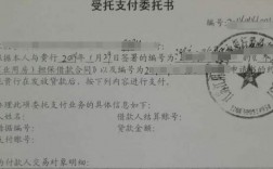 自主支付和委托支付是什么意思？受托项目