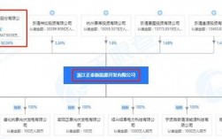 浙江钰泰新能源股份有限公司和正泰什么关系？正泰电器项目