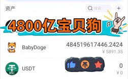 babydoge 怎么转钱包？狗狗钱包同步不了