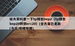 bep2跟erc20有什么区别？(eth的gas费)