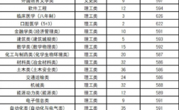 中南大学重庆2020录取分数线？中南地产重庆项目