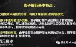 银行业务中所会所说的影子账户指的是？影子银行项目