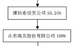 山东海龙股份有限公司的前十大股东是谁？山东海龙  项目