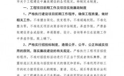 关于项目建设期间的纪律要求？对项目建设要求