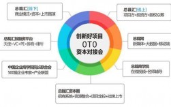 国内最大的众筹项目？众筹科技项目