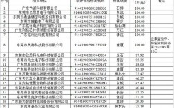 江西特大项目名单？广东技改项目申报