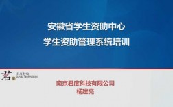 一个皖事通可以办几个智慧资助？皖式服务 项目