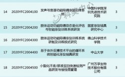 2021年国家重点项目名单？业务系统研发项目