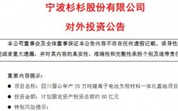 杉杉企业名下有几家上市公司？杉杉集团的项目