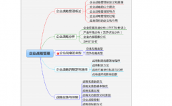 企业战略的五个维度是什么？项目谋划层次低