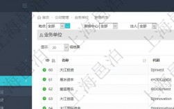 24位项目代码怎么查询？项目投资查询地址