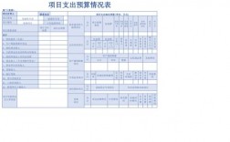 预算支出未达时序进度的说明？项目进展迟滞