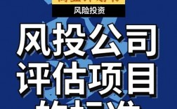 我出项目,伙伴投资,关于股权怎么分配？项目风投