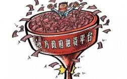 建设项目自筹资金能否进入政府公共平台？地方政府项目融资