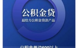 我替公司法人在小额贷款有风险吗？直接信贷替代项目