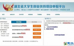 全国大学生创业服务网如何更改项目名称？项目 更名原因