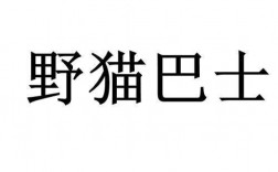 重庆野猫科技有限公司介绍？兴竹项目