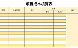 专设成本项目有几个？成本类项目