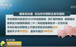 国家扶持的五种养殖项目？发改委经济行业项目