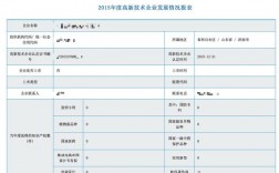 高企年报如何填写？高企项目梳理