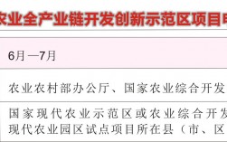 2023年国家重点扶持项目有哪些？国家拿钱扶持项目