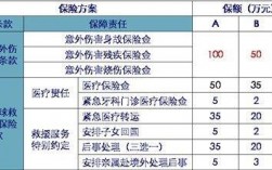 保险公司救援服务范围？国际救援险项目