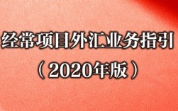 外汇经常项目和资本项目包括哪些？经常项目外汇