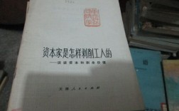 资本家如果没有剩余价值那怎样搞研发？鼓励项目 自由资金