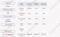 特变电工持股5190万股的股东是定增？定增项目研究