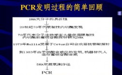 pcr研发做什么？pcr项目现状