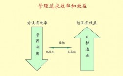 为什么效益优先而不是效率？项目投资 效益优先