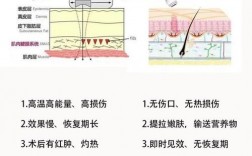 bio是什么项目？整形项目和产品