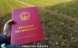 国家土地深耕补贴标准？山东深耕项目补贴