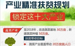 江西省十大重点产业？2017江西扶贫项目