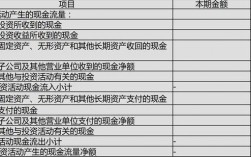 支付其他与投资活动有关的现金包括哪些？现金项目包括