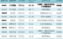 上市募资什么意思？ipo项目是什么意思